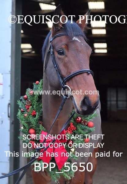 BPP_5650 - Imogen Gray