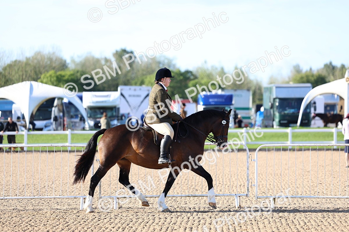 SBM_08741 - Class 302 - Ridden M&M - Large Breeds