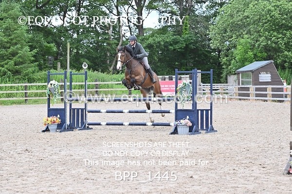 BPP_1445 - CLASS 11 SAT Ariat Senior BritiNovice 2ND ROUND