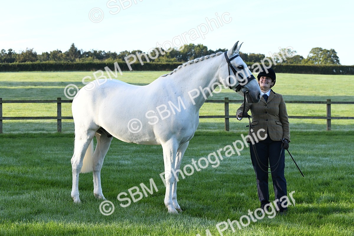 SBM_32740 - S15 - Condition & Turnout In Hand