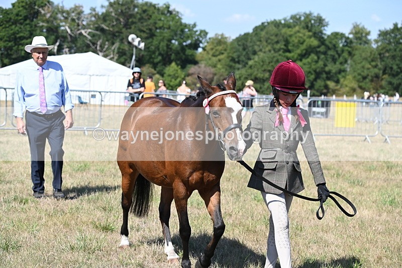 WJ6_4751 - Class 17 Mountain & Moorland