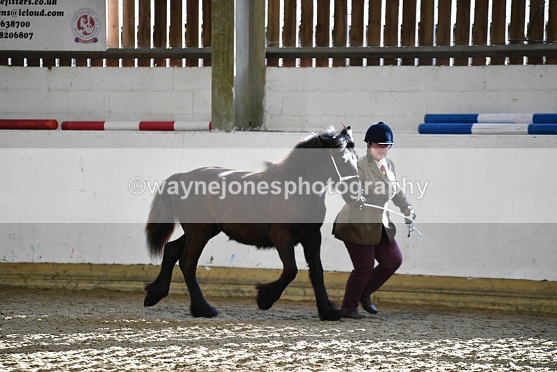 WJ5_3508 - Class 1 Youngstock