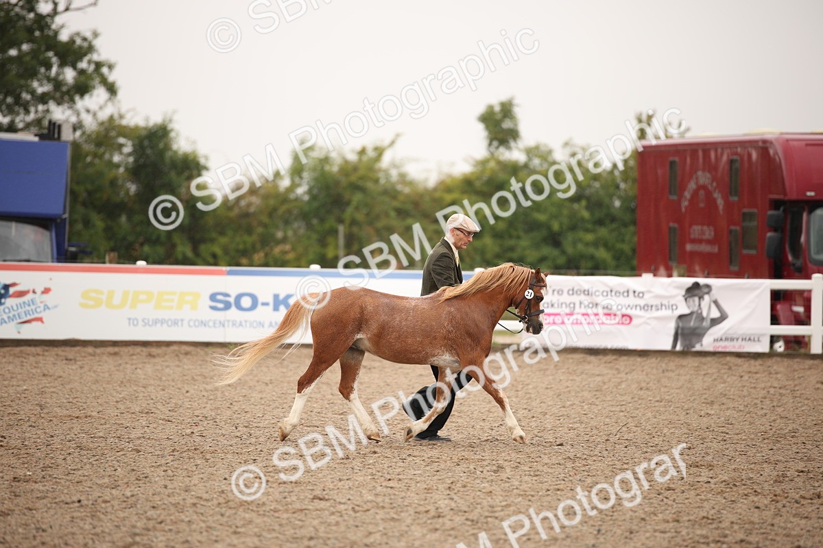 SBM_20716 - Class 705 - IH  Combination 65+