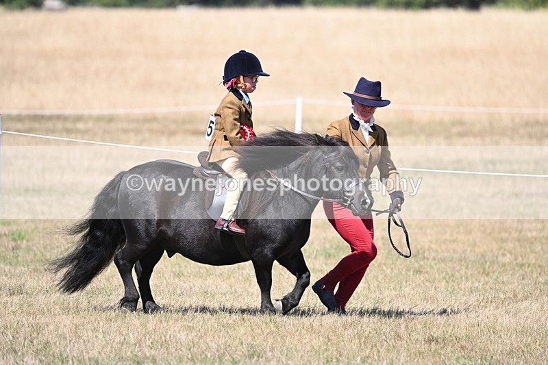 WJ6_9285 - Championship Classes 33-38