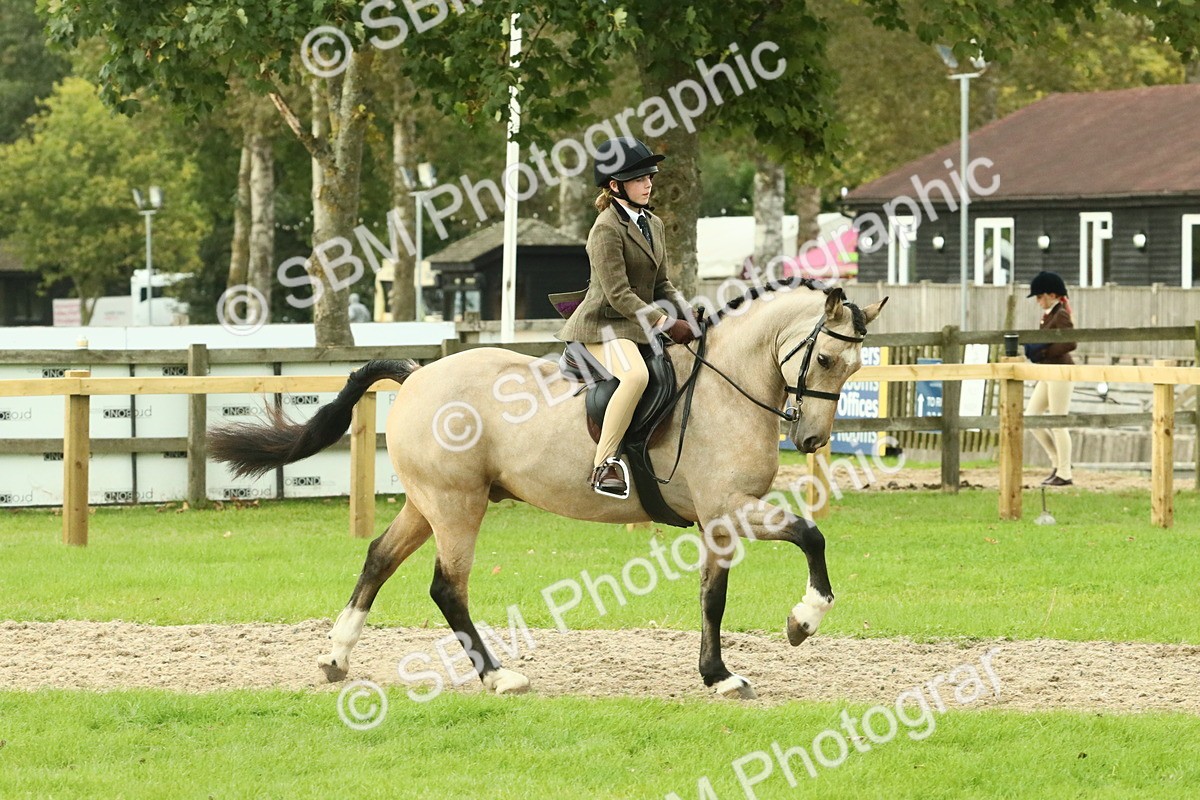 SBM_73999 - S 61 - Show Pony & Show Hunter Pony Ridden