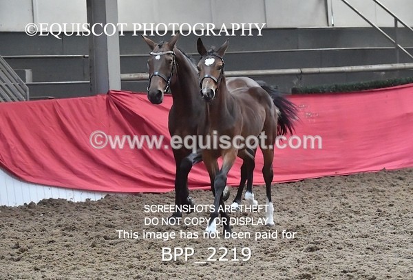 BPP_2219 - AFTERNOON 12.30 - 3.30PM