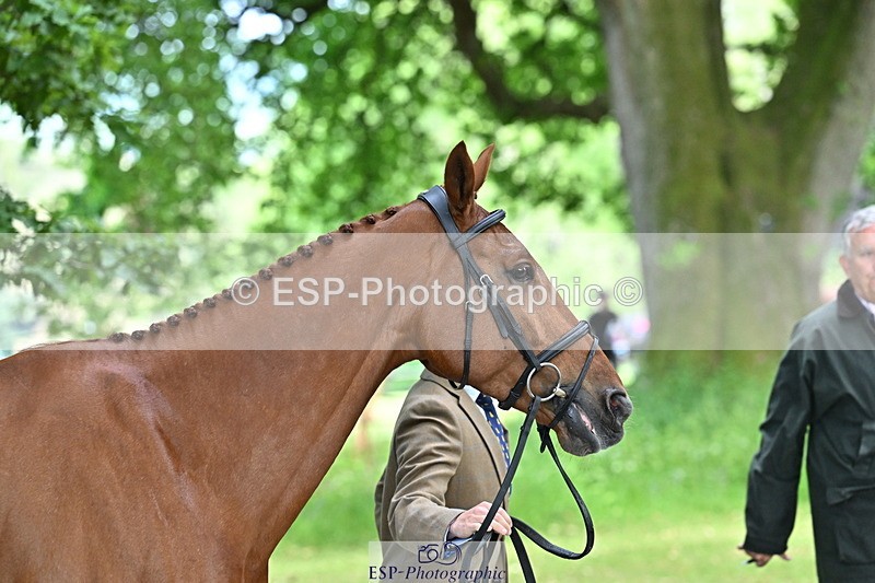 250521A-153039-00556 - B-315-Tom.McEwen-SHANNONDALE.ARNOLD