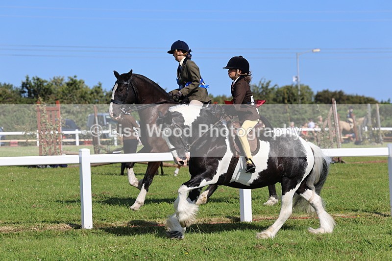 IMG_1654 - Skewbald and Piebald Ridden Championship
