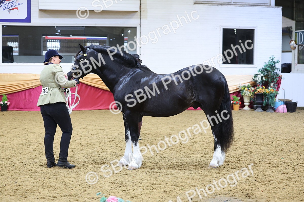 SBM_21050 - Class 902 - Supreme Final IH Veteran