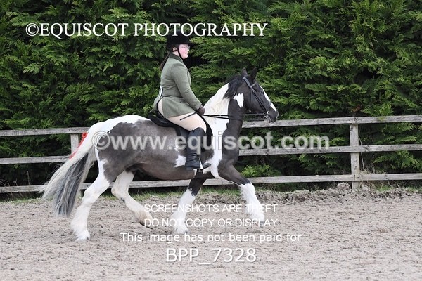 BPP_7328 - RING 1  (RIDDEN HORSES / IN HAND / VETERAN ETC)