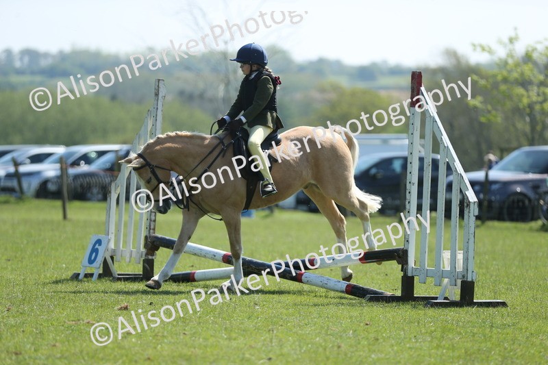 20250427-1959 - Class 2 - Mini Jumping 30cm