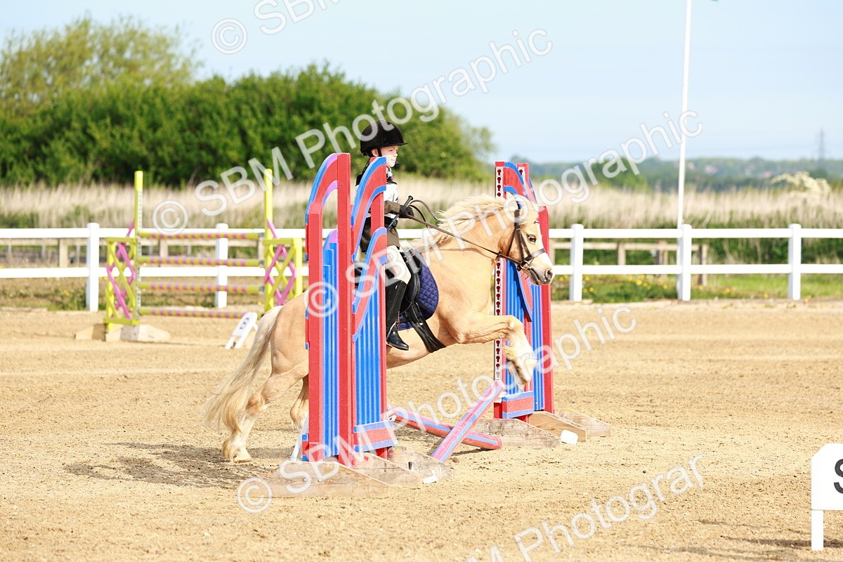 SBM_006374 - Class 1 - 40cm