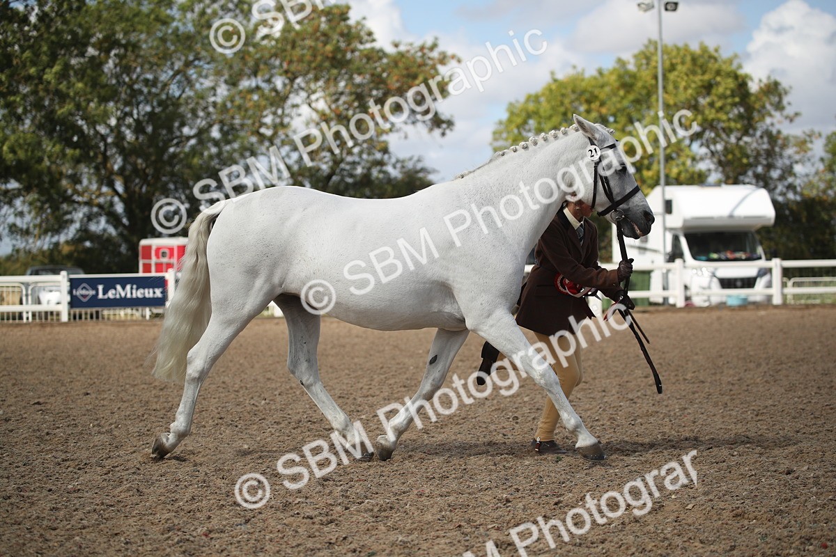 SBM_23593 - Class 605 - 2026 - Area - IH Veteran