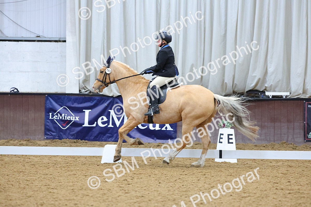 SBM_000892 - Novice