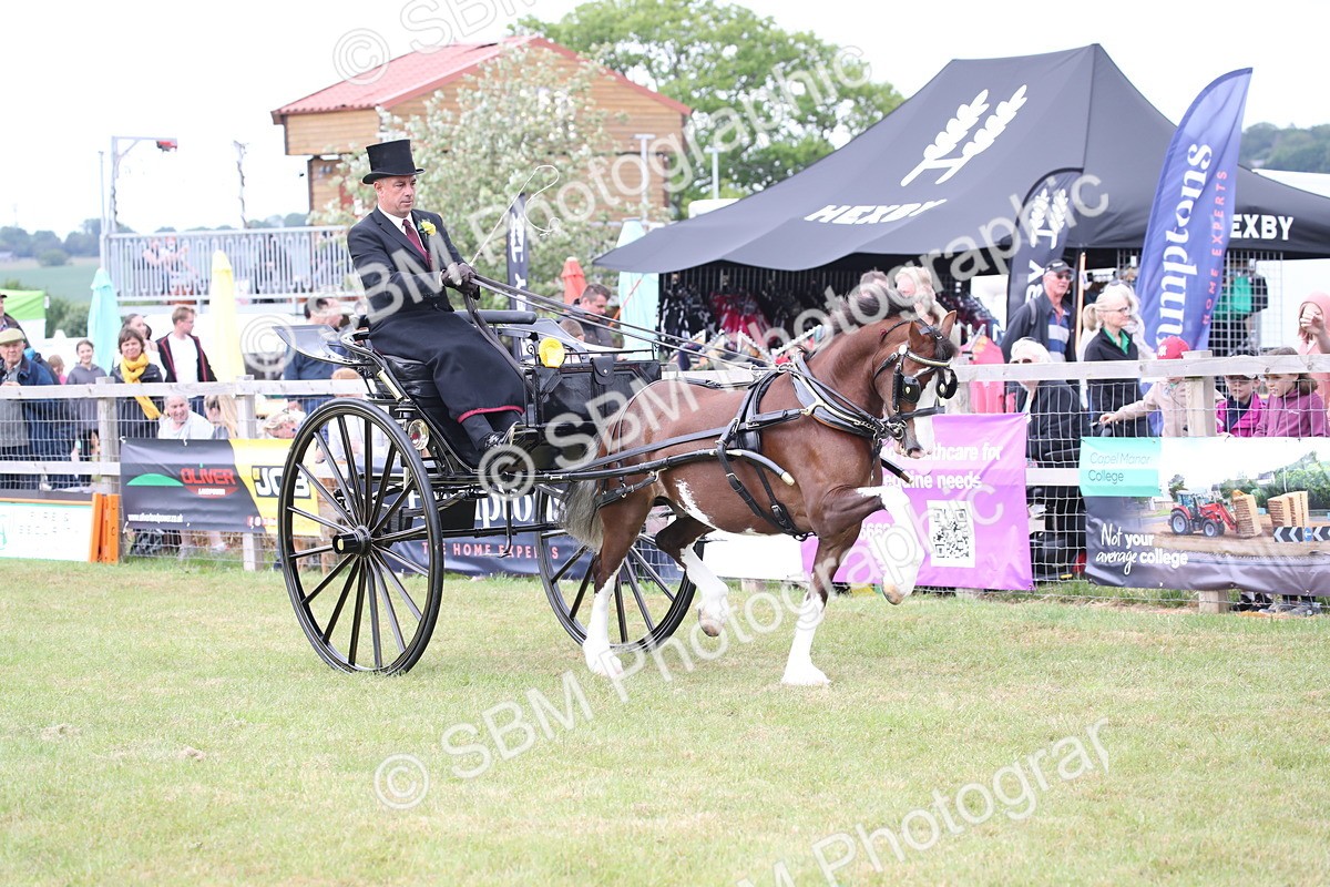 SBM_05882 - Class 12-15 - HOYS Private Driving
