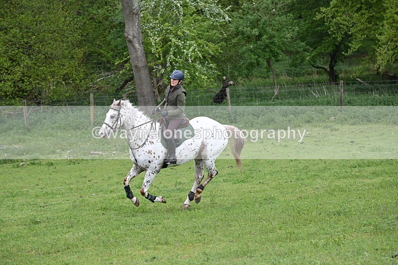 WJ6_2870 - A Camera