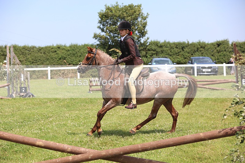 JPP_2437 - Class 21: Working Hunter 60cm