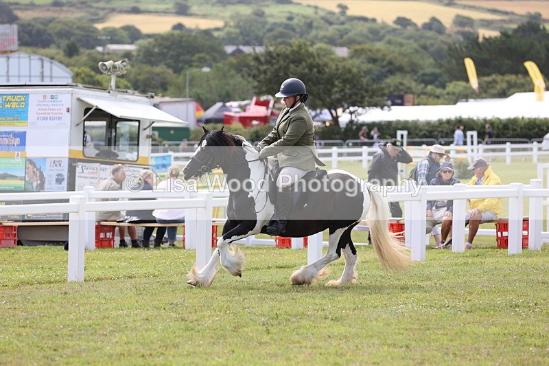 JPP_1533 - Class 17: Cornish Combination Open