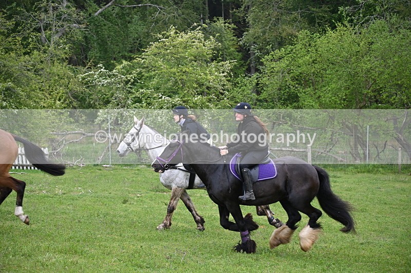 WJ6_2489 - A Camera