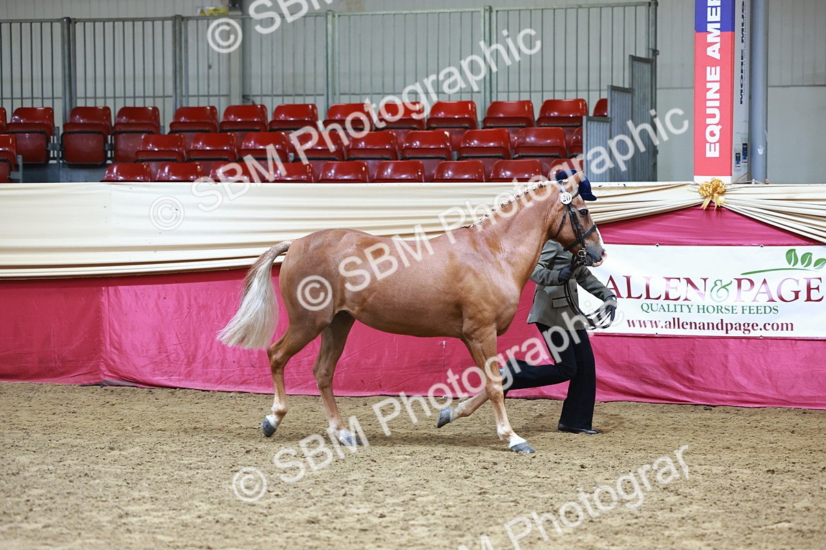 SBM_22244 - Class 902 - Supreme Final - IH Diamond