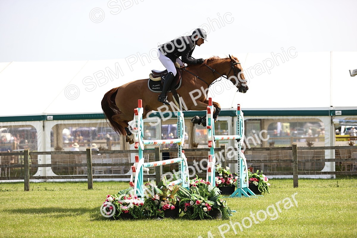 SBM_02988 - Class 201 - British Horse Feedds Speedi Beet HOYS Grade C