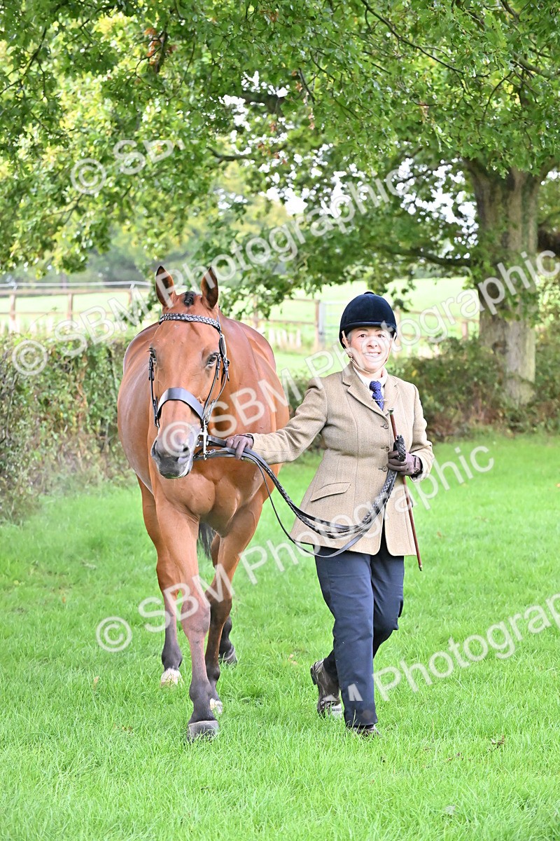 SBM_32651 - S15 - Top Turnout In Hand