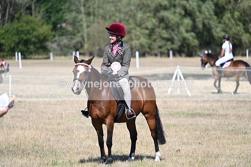 WJ7_4184 - Class 9 Mountain & Moorland Ridden