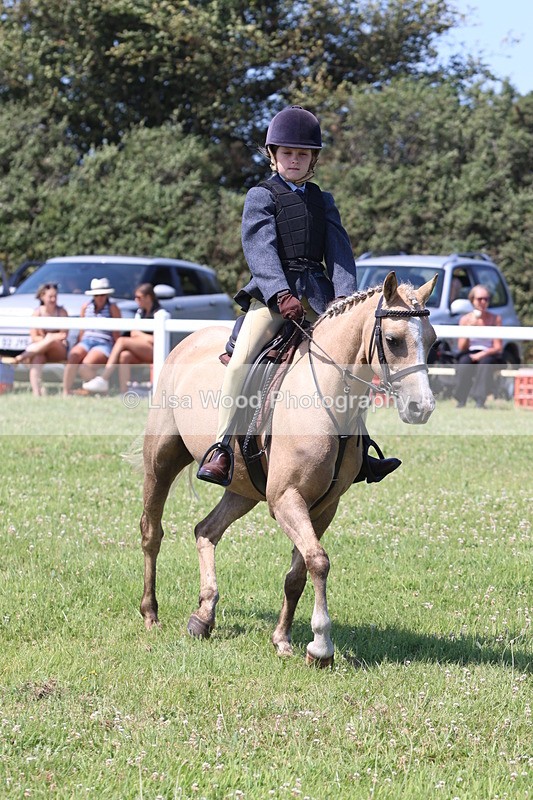 JPP_2312 - Class 20: Tiny Tots Working Hunter Pony