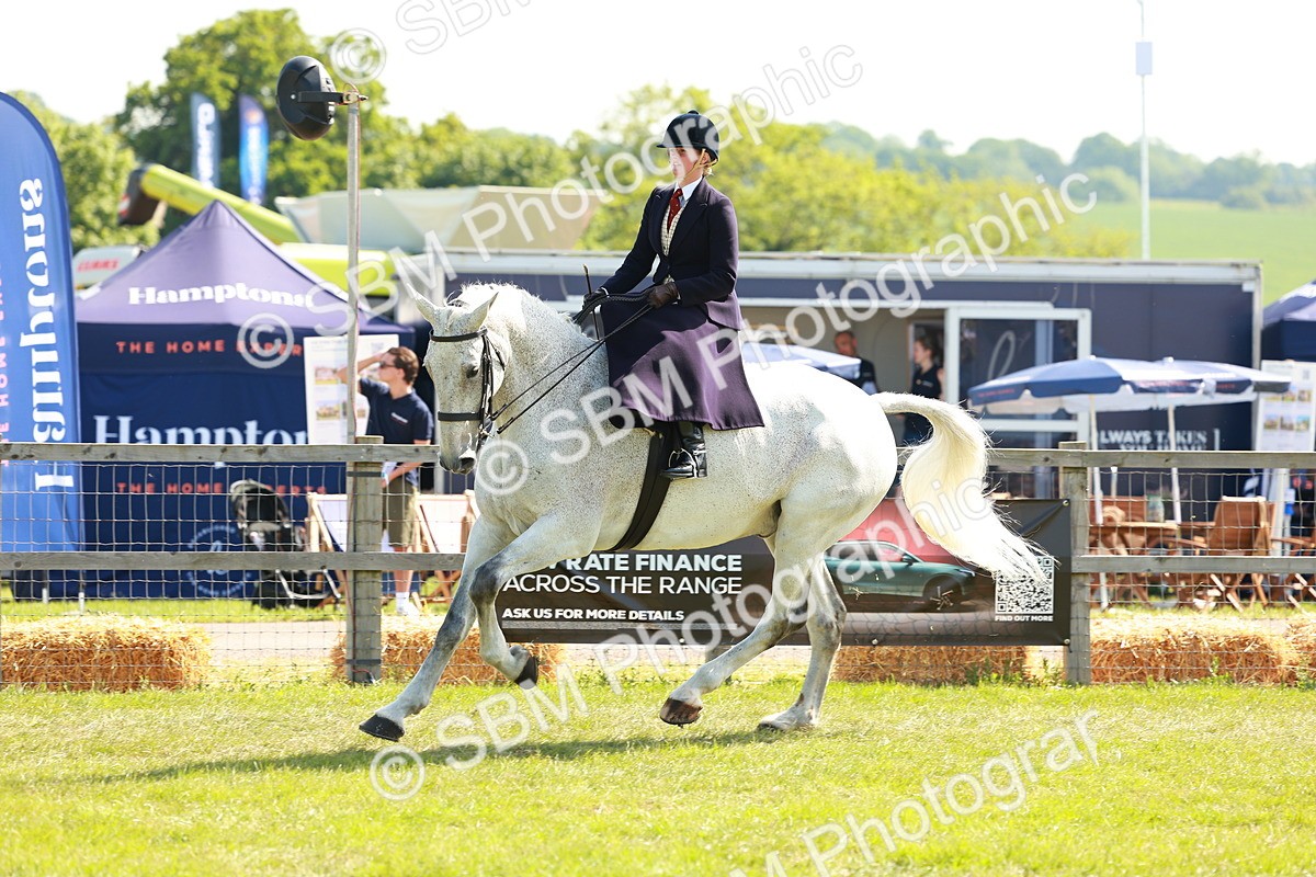 SBM_13166 - Class 70-71 - Side Saddle