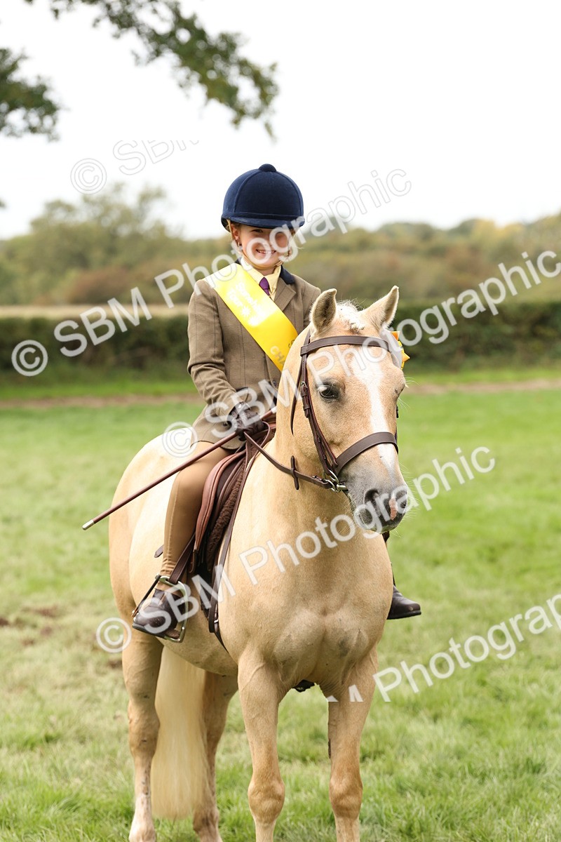 SBM_63053 - S64 - Foreign Breeds Ridden