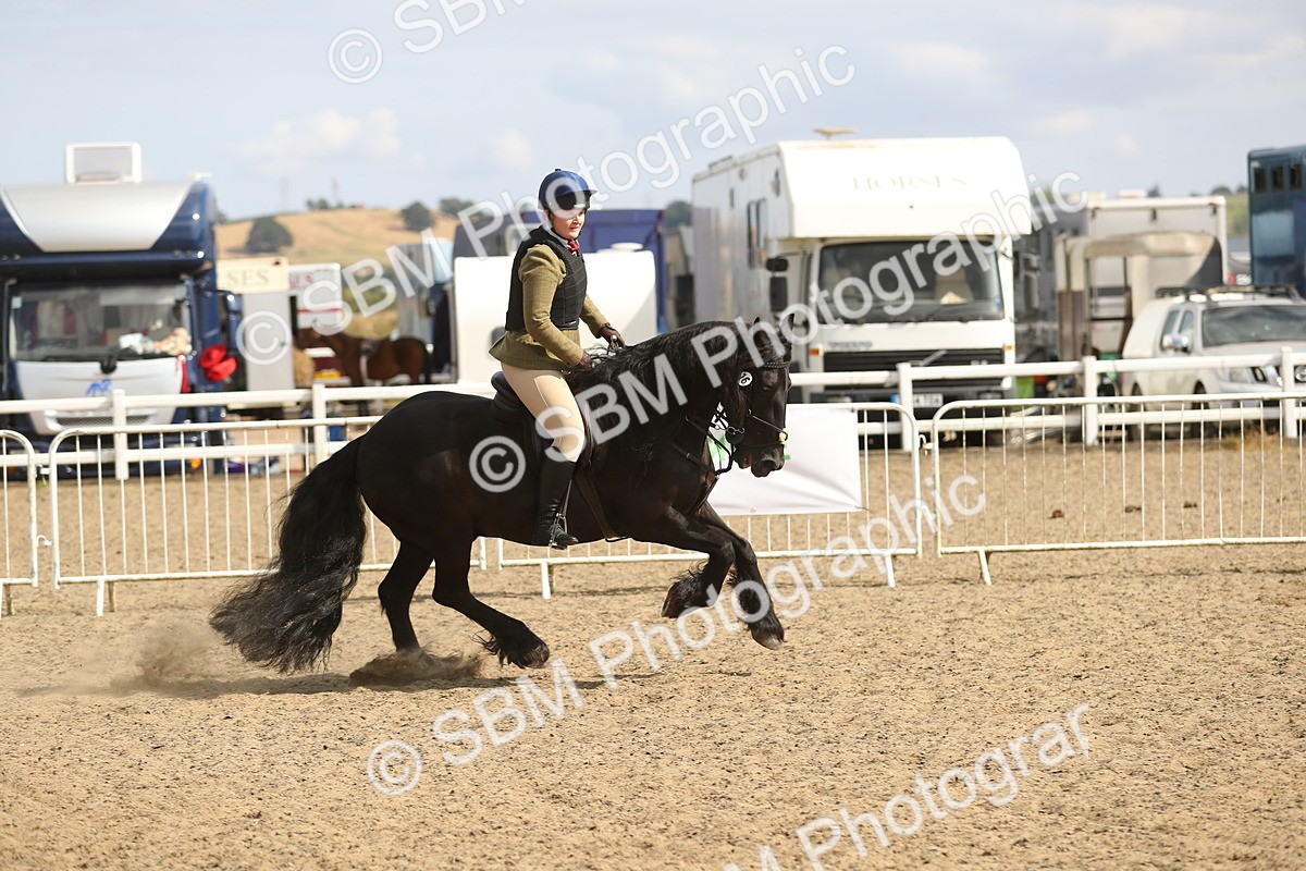 SBM_06872 - Class 49a Style & Performance 80cm (15-19)