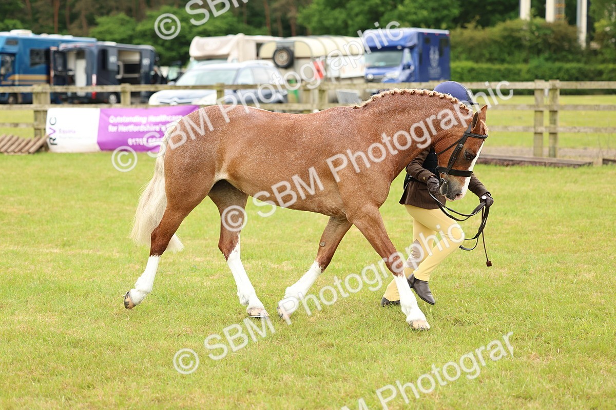SBM_10293 - Class 44-45 - LIHS BSPS Open Nursery and Cradle Stakes