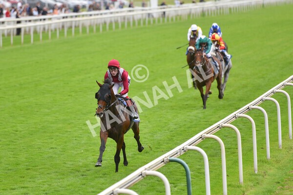 yr24092021r5-26 - Race 5 3.50pm William Hill Leading On Course Bookmaker Stakes