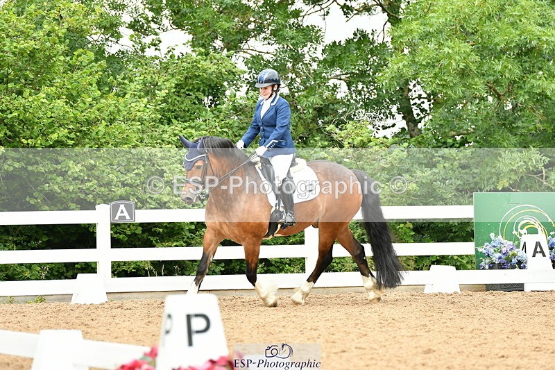 230701A-111731-04903 - Cls 9 Music Elementary