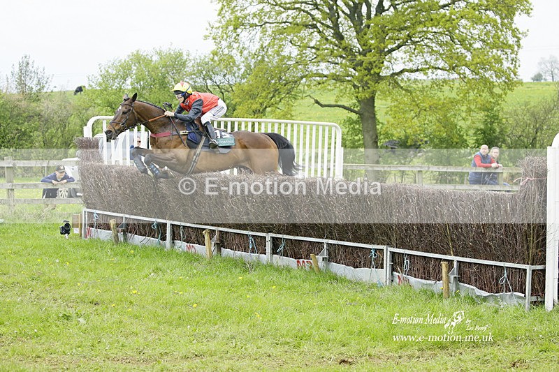 PtP 020522 336 - Mollington Races Point-to-Point 02/05/22