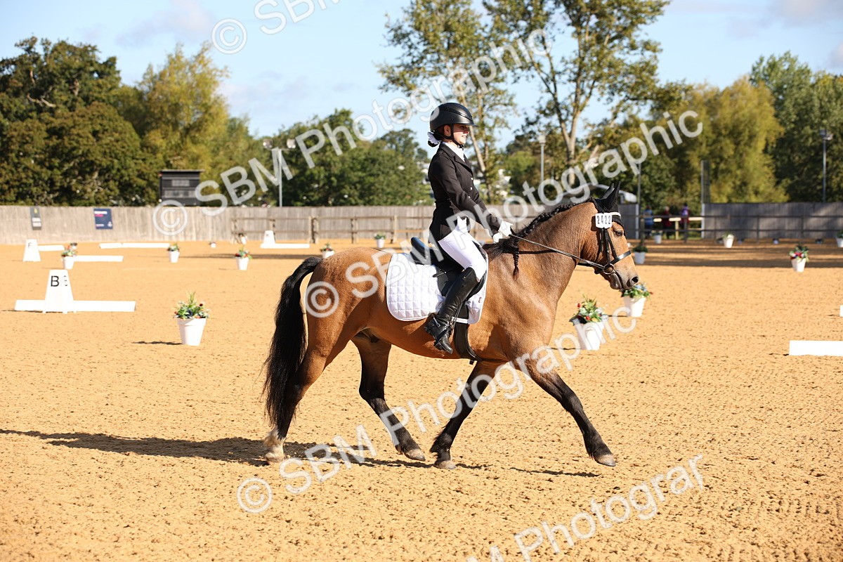 SBM_01889 - D2 Small Tour Championship Intro C