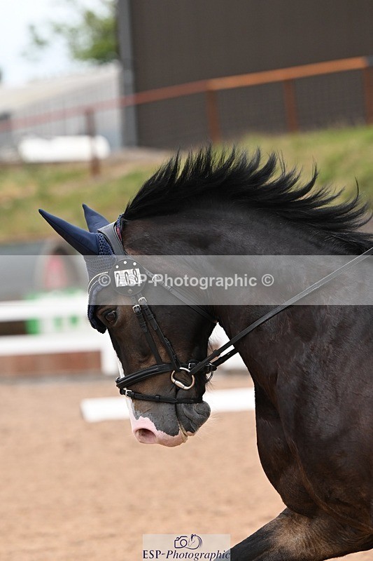 250705-170643-05919 - E1 Section BDE1 16.02 to  to 16.58