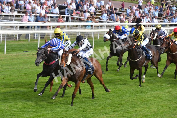 yr09072021r6-6 - Race 6 4.55pm Longines Irish Champions Weekend Stakes