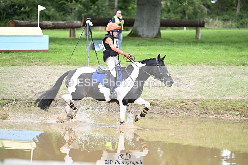 240804-144429-15441 - 555-Jack_Wish-WESTERLAKE_BUTTONWEED