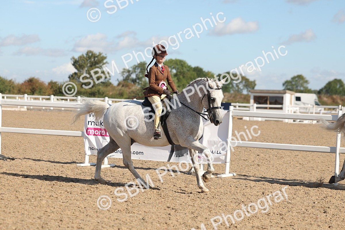 SBM_12445 - Class 304 - Ridden part Bred Horse Pony