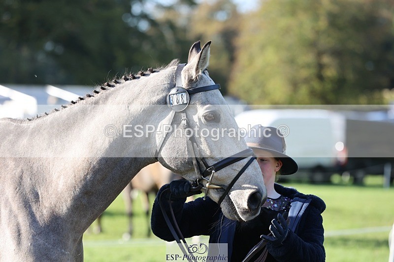 241027-094250-15459 - 388-Anaya.Stoneman-DUNTOATEE