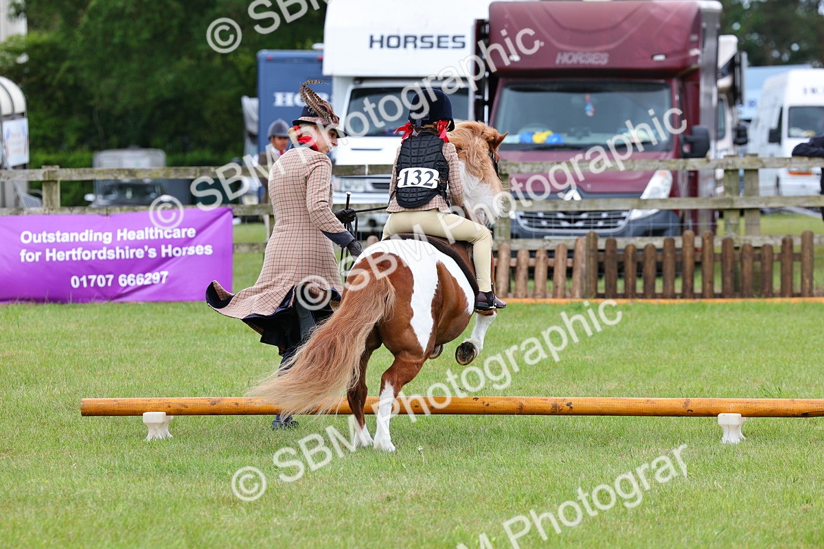 SBM_08229 - Class 42-43 - LIHS BSPS Heritage Working Sports Pony