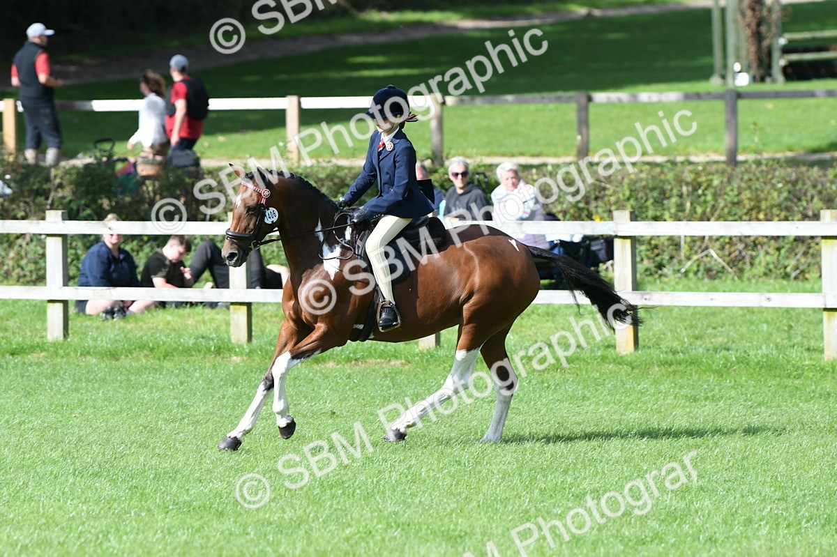 SBM_47144 - S12 - Family Horse & Pony