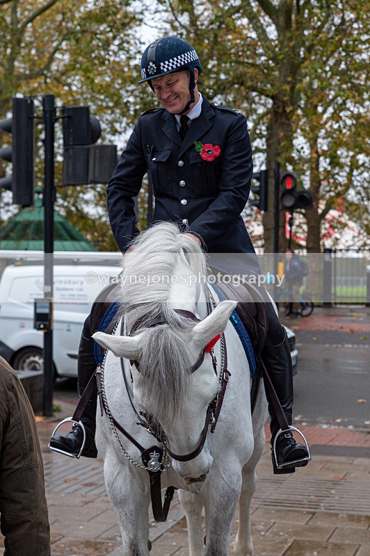 NGP_7063 - Animals In War Memorial - 10-11-23