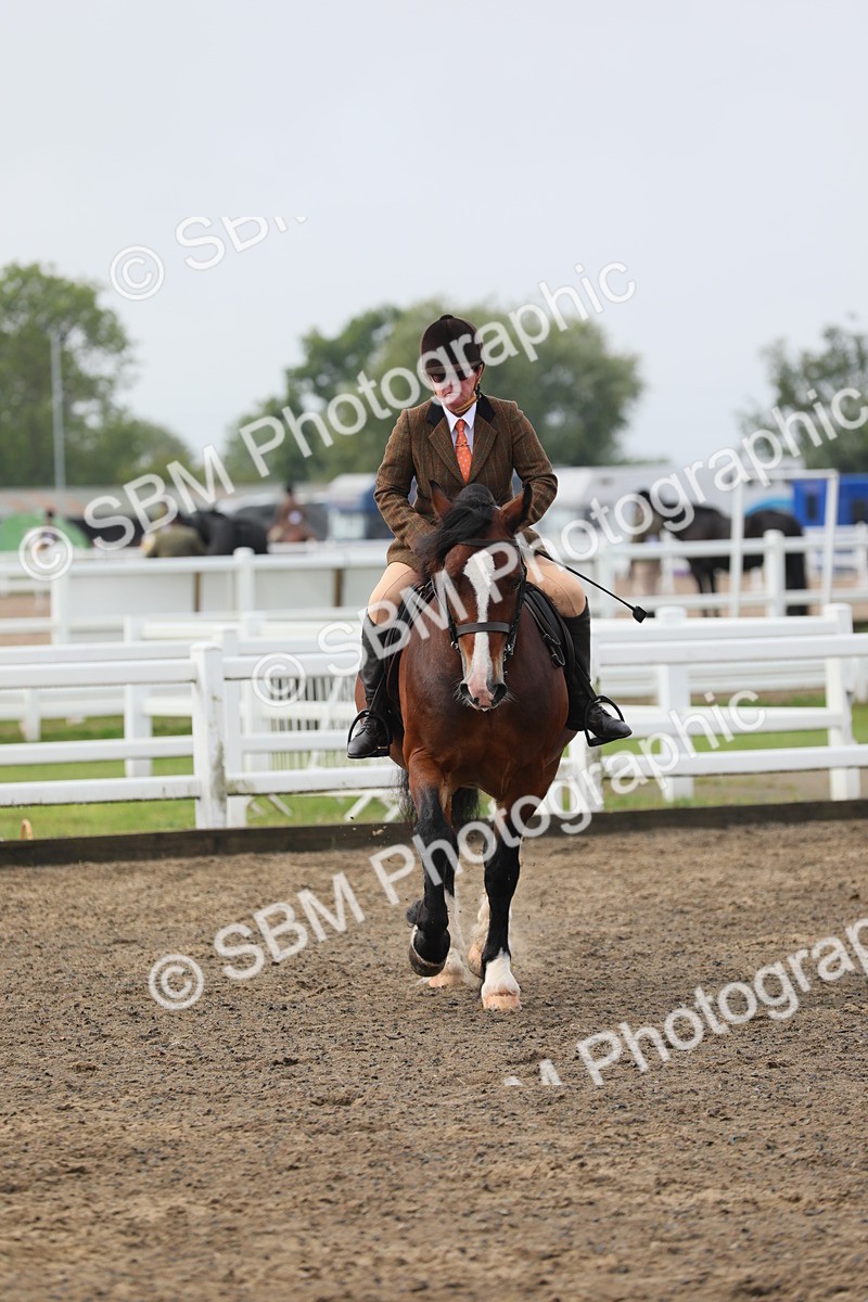 SBM_21370 - Class 805 - Ridden Veteran Horse