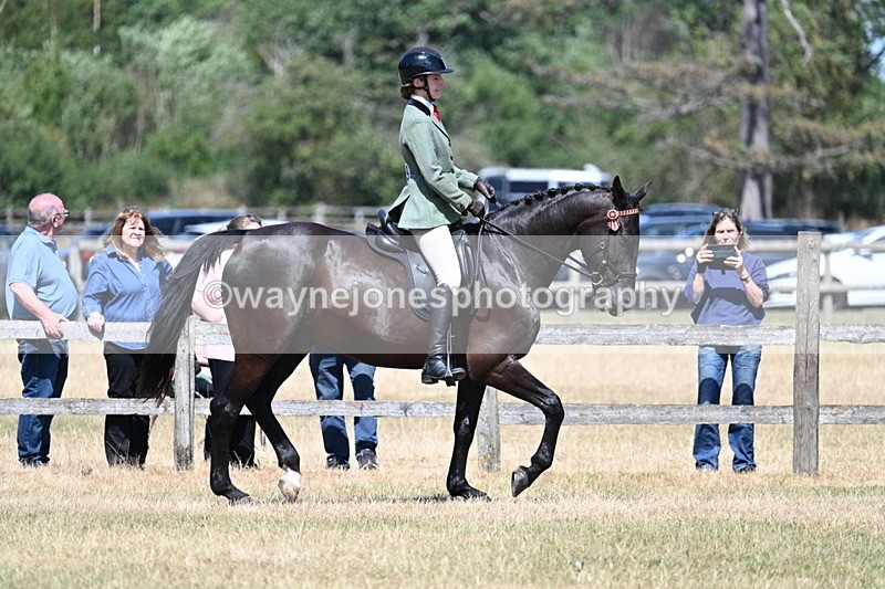 WJ7_3592 - Class 8 Ridden Veterans