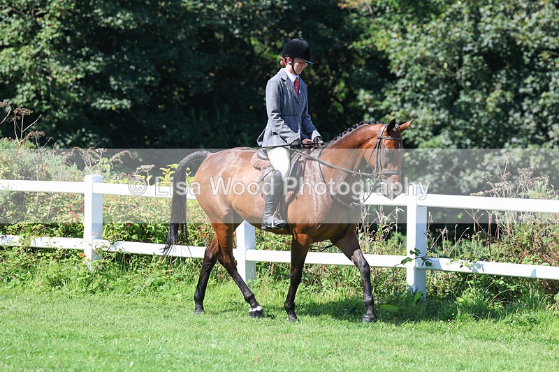 3E7A8322 - Class 4: Novice working Hunter