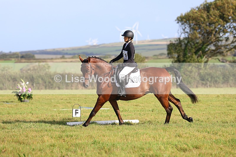 3E7A5699 - Class 1: Trebudannon Open: Dressage