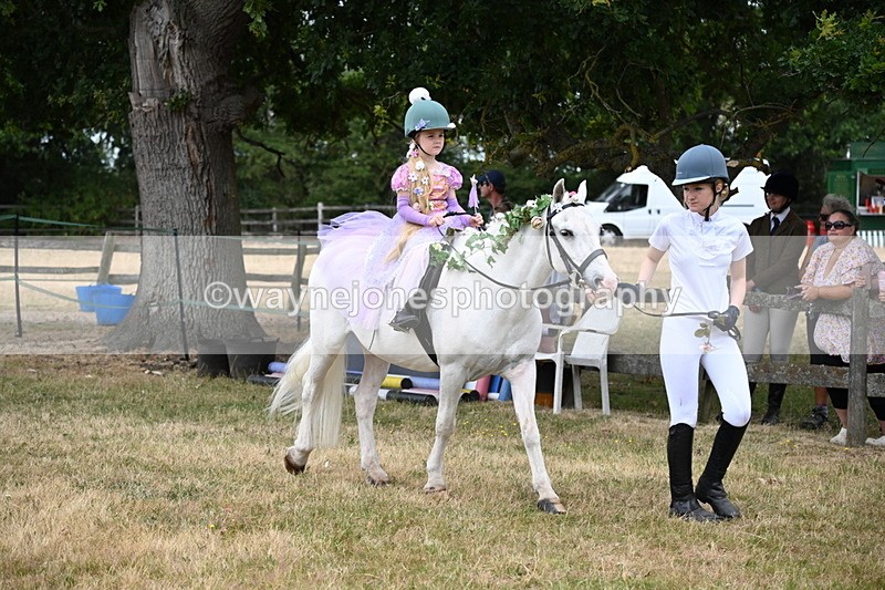 WJ6_4631 - Class 11 Fancy Dress