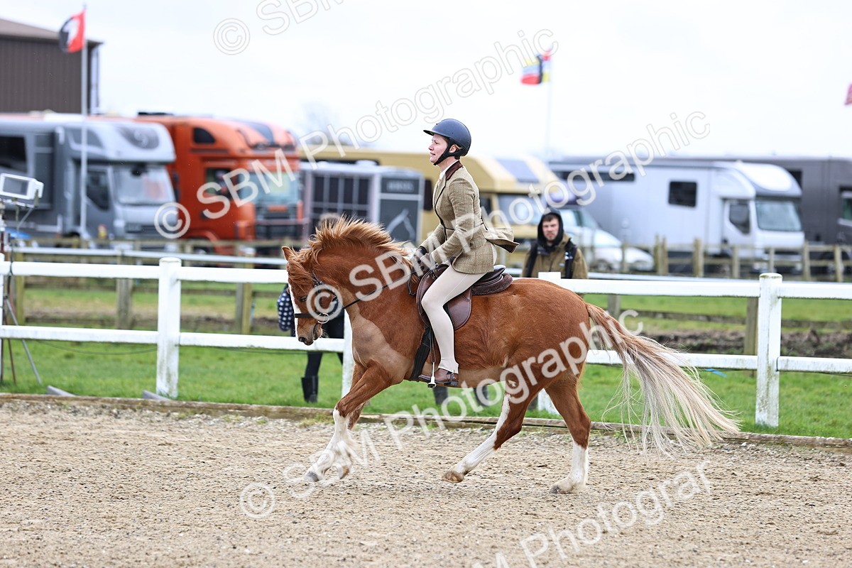 SBM_006818 - Class 29 - 30 - M&M Pure Novice Small-Large Breeds